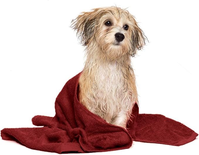 DAN RIVER Dog Towel - Pack of 1, 100% Cotton, 20x40, Ultra Soft 450 GSM, Super Absorbent & Quick Drying Towel for Dogs, Cats, and Other Pets, Salsa.