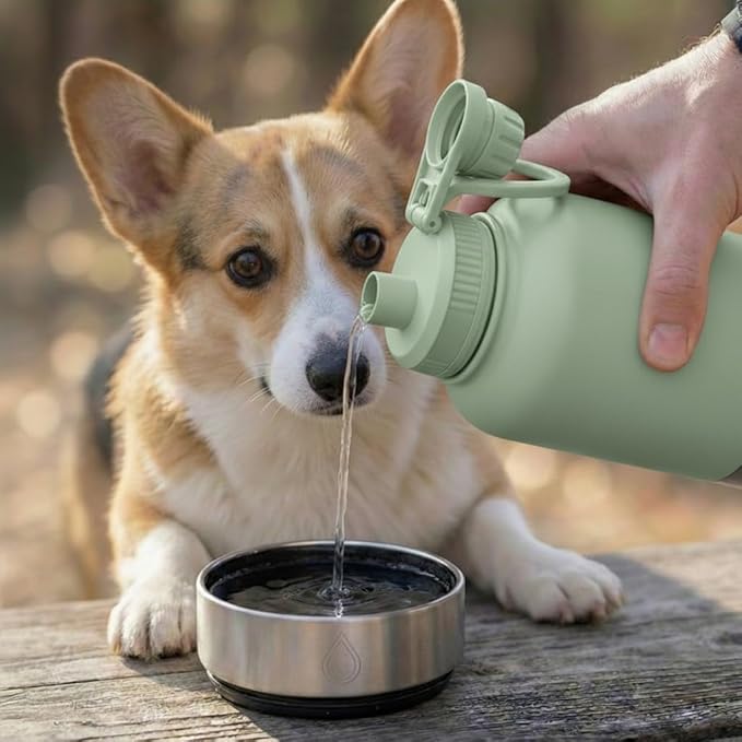 32oz Portable Dog Water Bottle with 2 Detachable Bowls for Small & Medium Dogs, Insulated Dog Travel Bottle for Walking and Road Trips (Green)