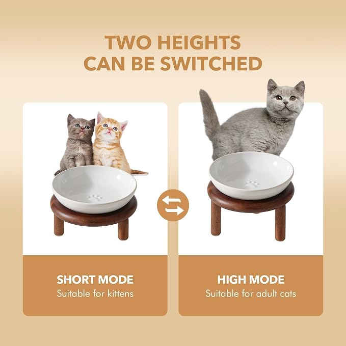 Havniva Elevated Cat Bowls, Ceramic Cat Bowl with Wood Stand, Wide Opening | 5.7” Raised Cat Food Bowls, Whisker Friendly Cat Dish, Anti-Slip Cat Water Bowls, Shallow Cat Bowls, Cat Food & Water Bowl