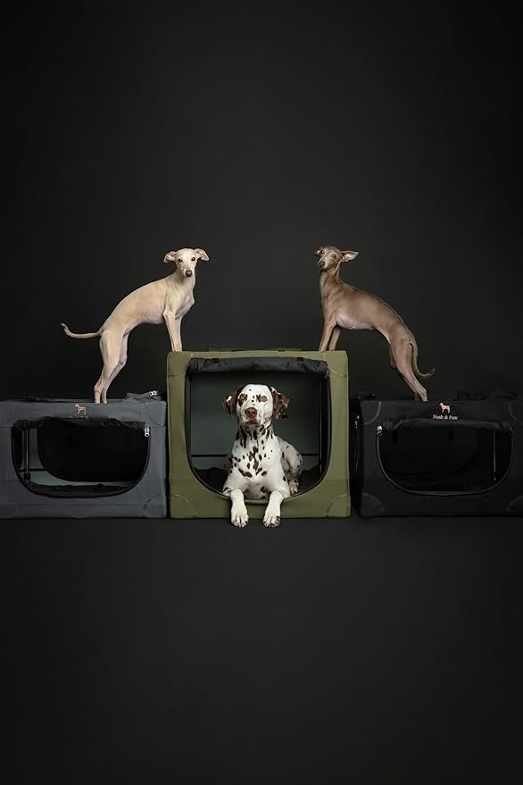 Noah & Paw Collapsible Dog Crate 26 Inch, Small Dog Crate for Small Medium Breeds, Travel Kennel for Car, Including Pet Mat for Pet Cage, 2 Storage Pockets, Handbag, 10mm Locking Zipper 26 * 17 * 17