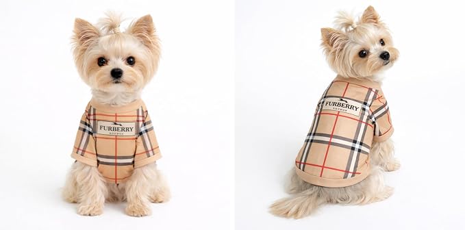 Luxury Designer Dog T Shirt – Trendy Puppy Clothes for Small Dogs, Fashion Pet Tee for French Bulldogs & Chihuahuas, Everything Chic Dog Apparel (FurberryTee, Large)