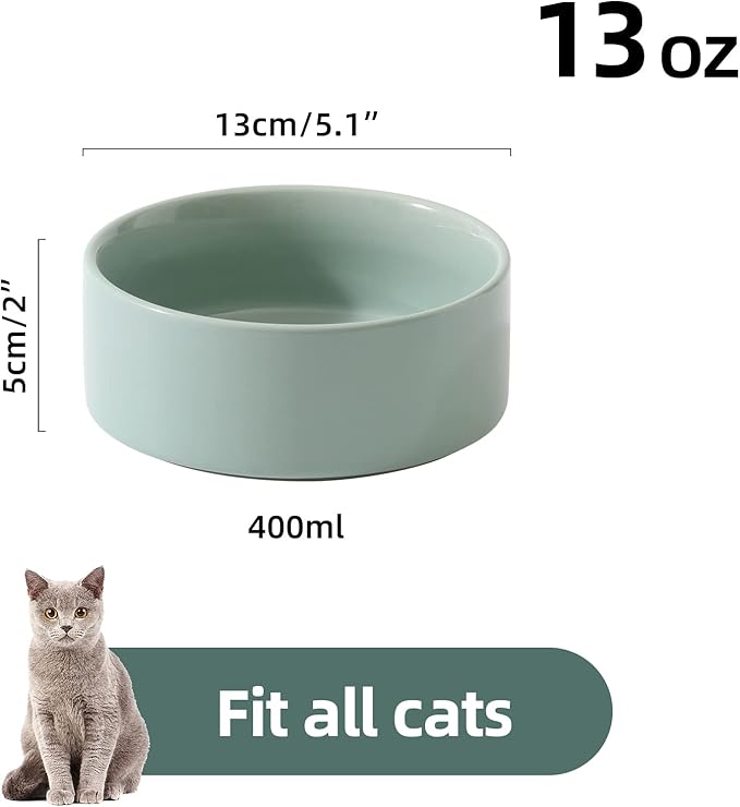 Havniva Ceramic Set of 2 Cat Bowls, Food and Water Bowls for Cats, Kitty, 2pcs Cat Dishes, Pet Feeder(5.1inch, 2 x Light Green Bowls)