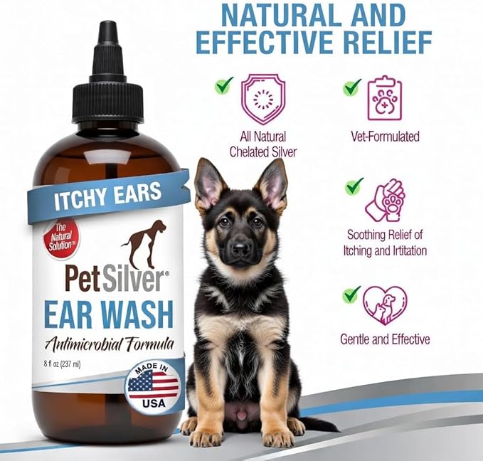 PetSilver Dog Ear Cleaner Solution – Gentle Ear Wash for Dogs and Cats with Chelated Silver – Otic Rinse Formula Targets Wax Buildup, Smelly Odor, and Itchy or Irritated Areas - Made in USA - 8 fl oz