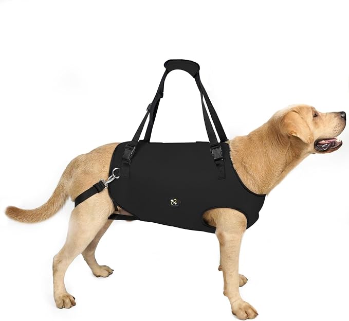 Coodeo Dog Lift Harness, Pet Support & Rehabilitation Sling Lift Adjustable Padded Breathable Straps for Old, Disabled, Joint Injuries, Arthritis, Loss of Stability Dogs Walk (Black, 2XL)