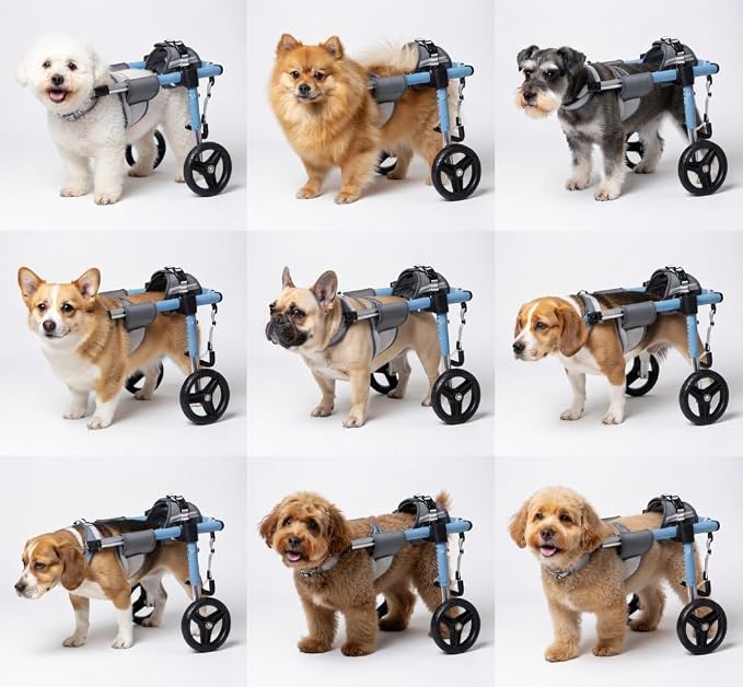 Pet Wheelchair Doggy/cat Wheelchairs with Disabled Hind Legs Walking All Terrain Wheels Indoor Rehabilitation for Disabled Pets, Easy to Assemble, Supports Walking and Exercise