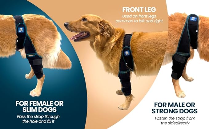 Dog Knee Brace Adjustable Front Hind Leg Brace for Cruciate Ligament Injury, Luxating Patella, Torn ACL. (Green, Large)