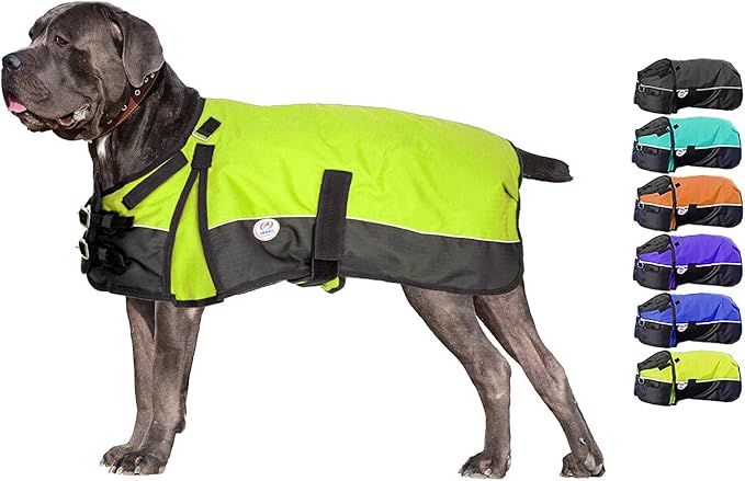 Derby Originals Ruff-Pup Winter Dog Coat 600D Medium Weight, 26.5 IN, Lime Green