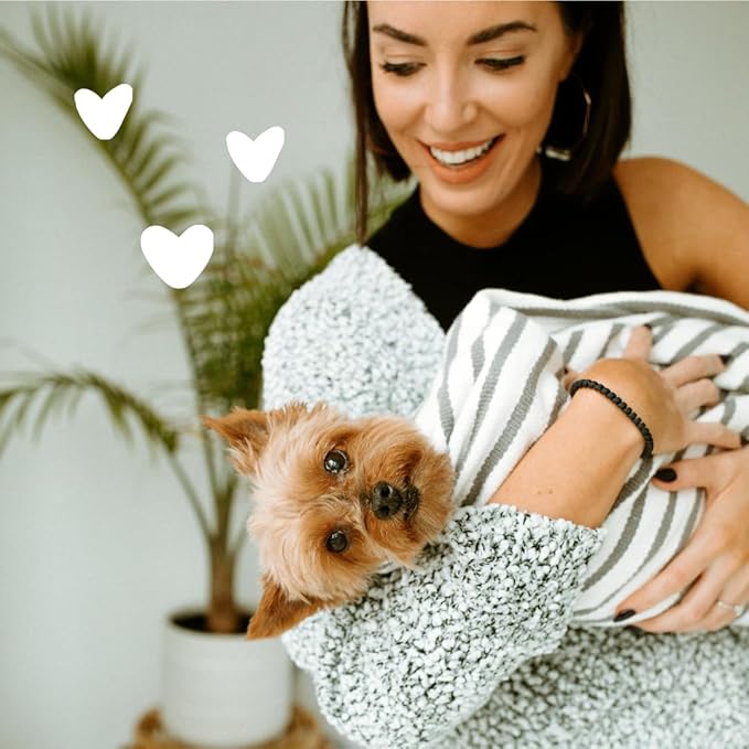 earthbath, Vanilla & Almond 3-in-1 Dog & Puppy Deodorizing Spritz - Dog Odor Eliminator for Strong Odor, Cruelty-Free Dog Cologne, Dog Wash Spray, Made in USA, Dog Bathing Supplies - 8 Oz (1 Pack)