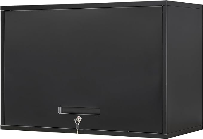 Metal Garage Wall Cabinet with Doors and Shelves, Wall Mounted Metal Storage Cabinet, Floating Garage Tool Cabinet for Garage, Basement, Kitchen, Warehouse (Black, 21.6" H)