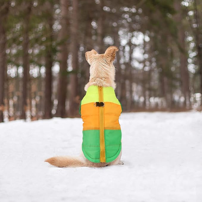 Idepet Pet Dog Cat Coat with Leash Anchor Color Patchwork Padded Puppy Vest Jacket Teddy Chihuahua Costumes Pug Cloth XS S M L (X-Small (Pack of 1), Green)