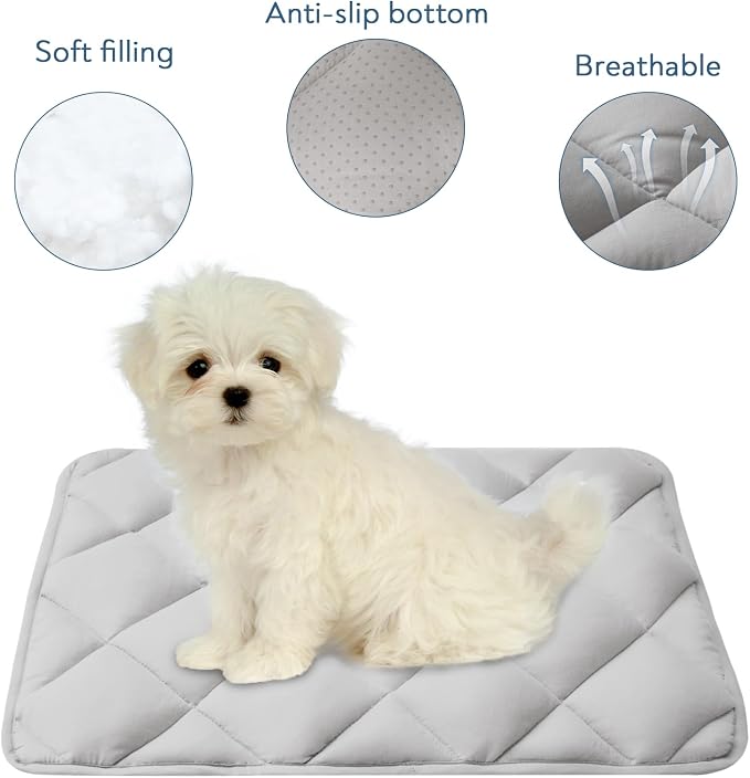 Dog Crate Pad 2 Pack (30" x 19"), Dog Crate Mat with Anti-Slip Bottom, Grey | Fits 30 Inch Crate, Soft, Machine Washable, Kennel Pad
