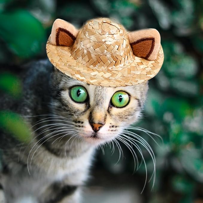 Adorable Summer Cat Hat with Ear Design, Straw, 13cm | Decorative Pet Headwear for Cats, Khaki Creative Style, Safe Comfortable Fit, Halloween Party or Holiday Use