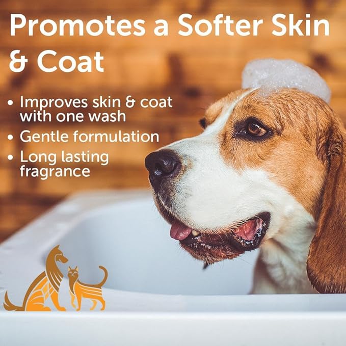 Nootie Moisturizing Warm Vanilla Cookie Pet Shampoo - 1 Gallon Size (G11WVC)