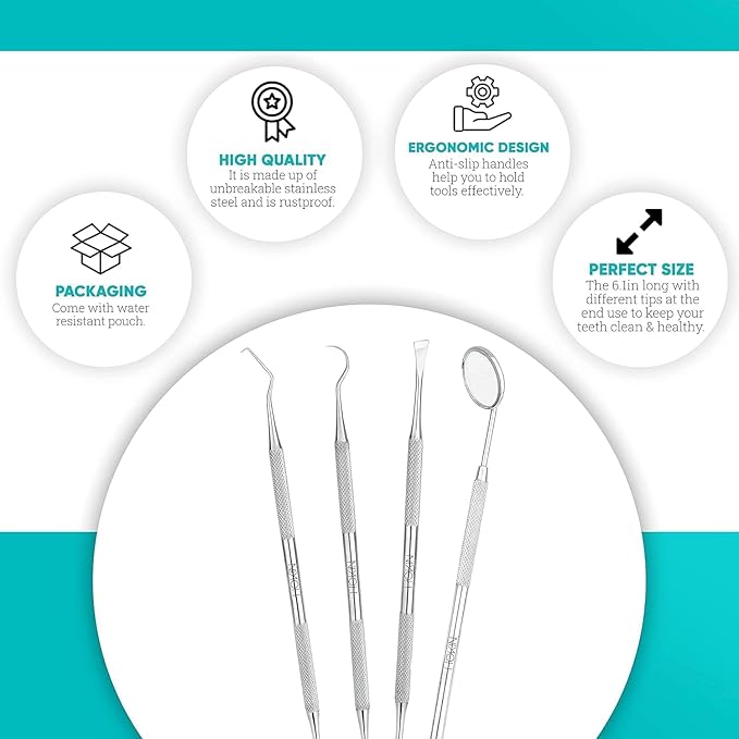 HOKIN Dental Tools Plaque Remover Teeth Cleaning Tool 4 Pcs Dental Care Kit Tooth Filling Repair Set Stainless Steel Dental Tools for Men Women Kids and Pet Care (Emerald Green)