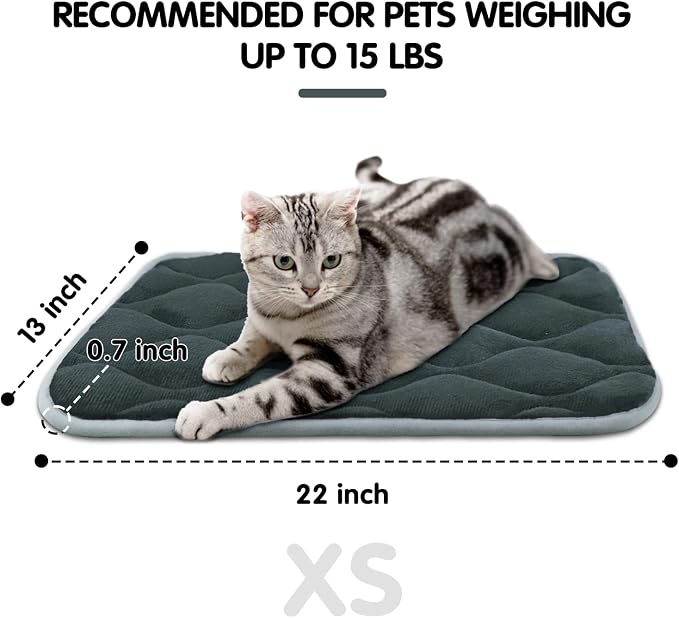 Dog Bed Mat Crate Pad, Anti-Slip Bottom Machine Washable Pet Pad | Thick lightweight mat with anti-slip bottom, machine washable. Ideal for dogs, cats in crates, home & car, XS 22x13'', Grey