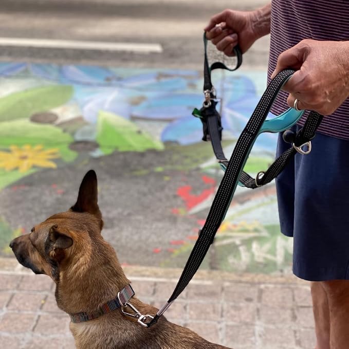 Dog Poop Bag Holder with Dispenser & Storage Pouch - Includes Adjustable Reflective Dog Leash (6FT Bungee, Padded Handles) - Durable Leash for Walking, Training & Travel (Aqua)