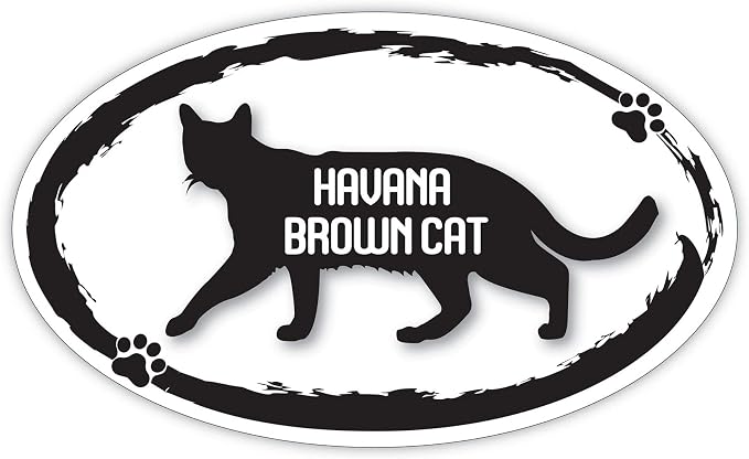 Makoroni Havana Brown CAT Cats Pets, CAR Magnet-Magnetic Bumper Sticker 3x5 or 4.5x7.5 inc., DesG12