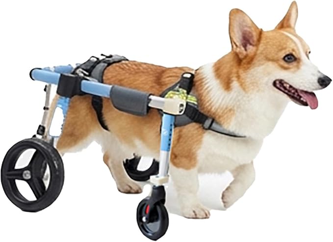 Lightweight Dog Wheelchair for Back Legs Adjustable Width Length Dog Cart Lightweight Aluminum Pet Mobility Cart with Shock-Absorbing Wheels for Post Surgery Recovery Walking