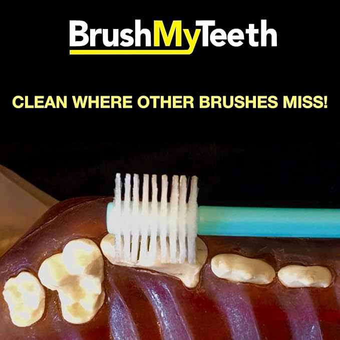 Brush My Teeth Medium Dog Toothbrush - Rounded Brush Head -Soft Flexible Bristles- for Safe and Gentle Brushing for Doggie, Any Medium Breed or Puppy, Daily Brushing Adds Years of Healthy Life