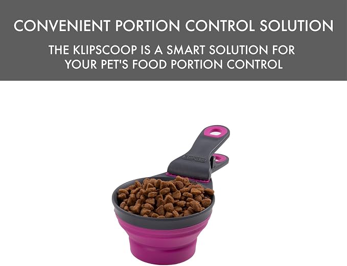 Dexas Popware for Pets Collapsible Klip Scoop, 3-in-1 Pet Food Scoop, Measuring Cup and Bag Clip, 1 Cup Capacity, Fuchsia