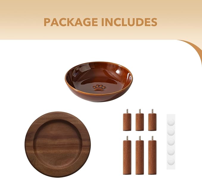 Havniva Elevated Cat Bowls, Ceramic Cat Bowl with Wood Stand, Wide Opening | 5.7” Raised Cat Food Bowls, Whisker Friendly Cat Dish, Anti-Slip Cat Water Bowls, Shallow Cat Bowls, Cat Food & Water Bowl