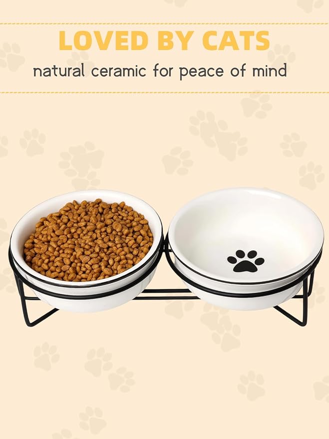 GDCZ Ceramics Raised Cat Bowls with Heighten Metal Stand,15 Ounces White