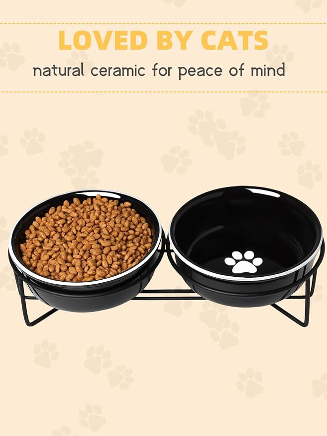 GDCZ Ceramics Raised Cat Bowls with Heighten Metal Stand,15 Ounces (Black)