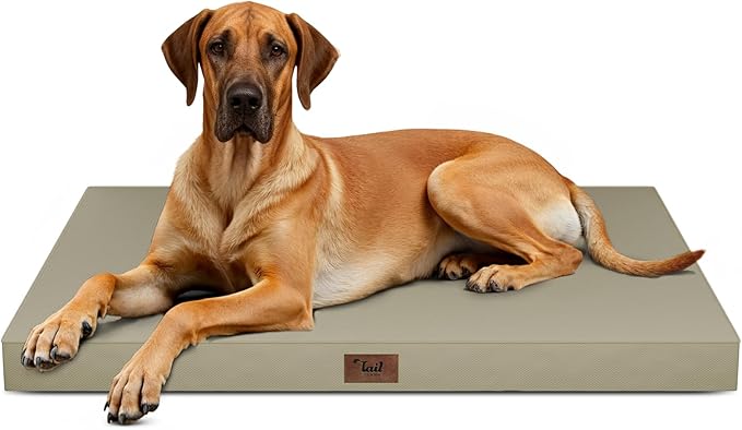Jumbo Waterproof Orthopedic Dog Bed for Extra Large Dogs | Egg Crate Foam, Pressure Relief, Fits 54x37 Crates, Machine Washable 1680D Oxford Cover, Indoor & Outdoor Use, Up to 150 lbs