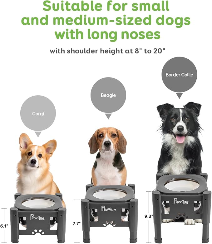 Pawque 80oz Stainless Steel Elevated Dog Water Bowls with Adjustable Stand | 3 Heights (6.1", 7.7", 9.3"), Raised Slow Floating Disc Bowls for Medium and Small Dogs, Non Slip Rubber & No-Spill