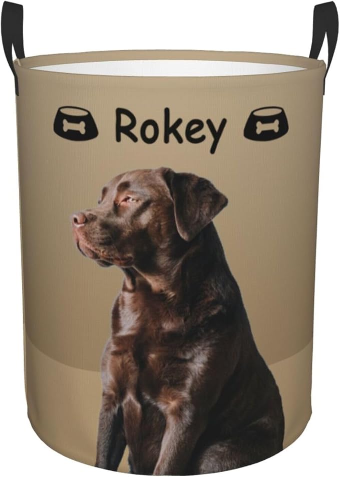 Personalized Large Dog Toy Storage Basket Bin Collapsible Custom Pet Stuff Box Chest Container for Living Room Organizer for Dog Toys,Dog Food,Blankets,Clothing (Latte)