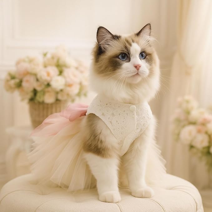 Dog and Cat Girl Bow Dress, White Dog D-Ring Wedding Dress with Pink Bow, Cat Birthday Set, Chihuahua York Pomeranian Cat Pet Party Dress (Pink Bow-Princess, Small)