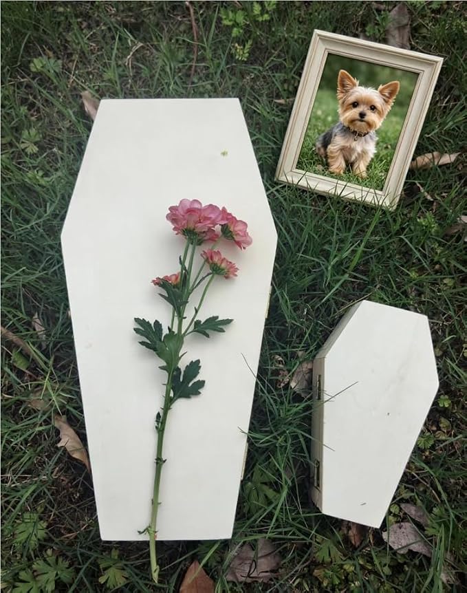 Big & small wooden casket, Creative Hobbies 11.9 Inch Pack of 2, Unpainted, Decorations, bird casket, Pet Urn, spooky craftsm for voodoo doll, miniature coffin for DIY