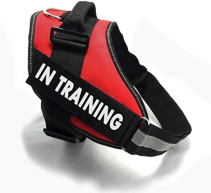 Fairwin in Training Patches, Reflective and Removable Dog Tags for Service Vest Dog Harness
