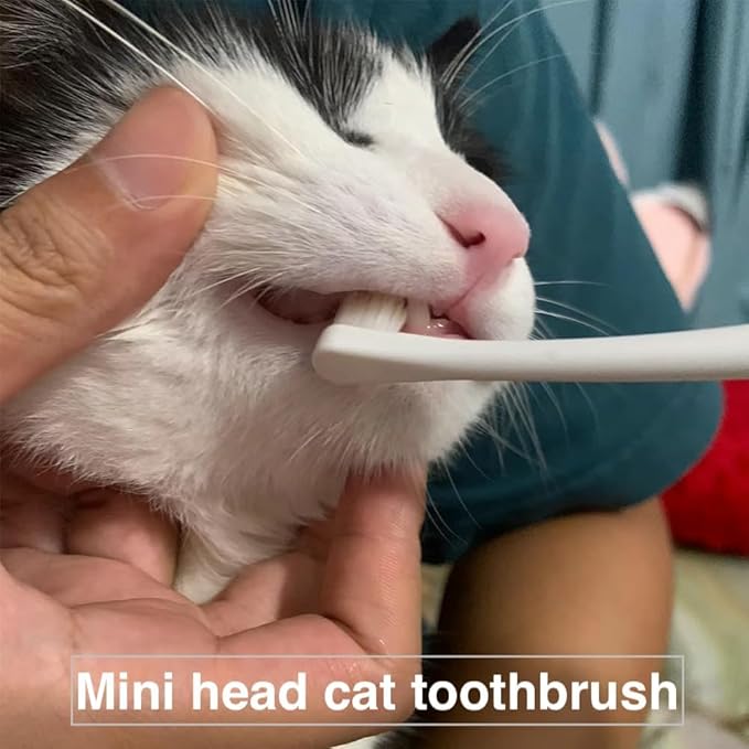 6 Pcs Cat Toothbrush with Micro Head to fit into Cat Mouth, Ultra Soft Bristles Pet Toothbrush Kit, Kitten/Puppy Toothbrushes, Kitty Dental Care Supplies, Avoid Bleeding Gums & Help Gap Cleaning