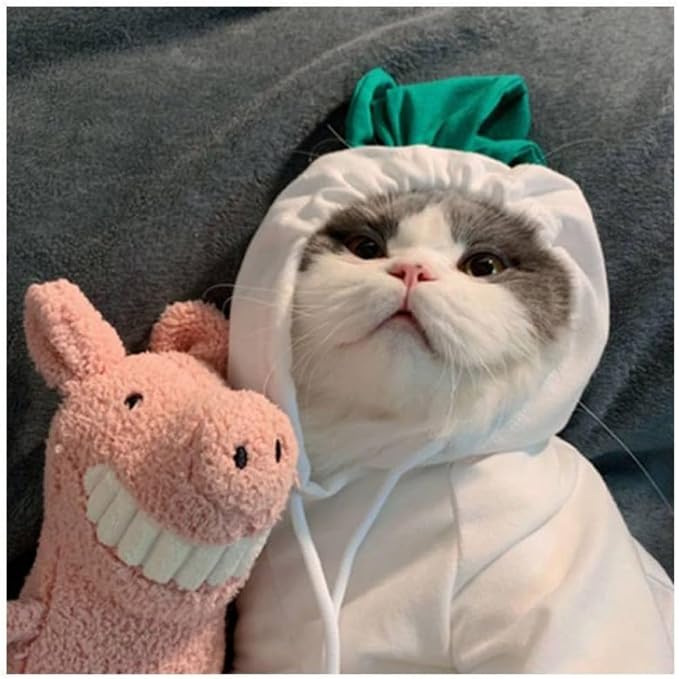 Pet Clothing Dog Transformation Shaped Hoodie (White Radish,S) | Autumn and Winter Warm Small Large Dog Method Dou Cat Clothes For French Bulldog Chihuahua Pug Boston Terrier Dachshund