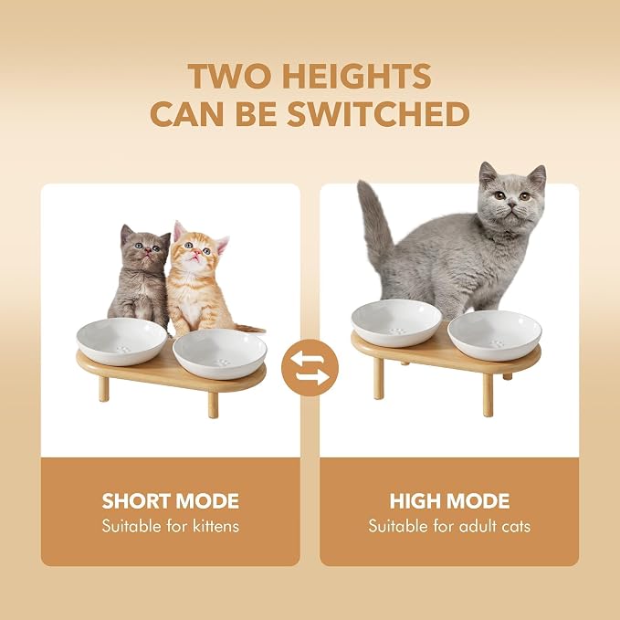 Havniva Elevated Cat Bowls, Ceramic Cat Bowl with Bamboo Stand Wide Opening | 5.7” Raised Cat Food Bowls, Whisker Friendly Cat Dish, Anti-Slip Cat Water Bowls, Shallow Cat Bowls, Cat Food & Water Bowl