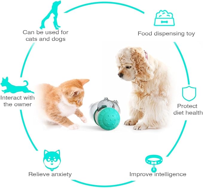 KAYNO Pet, cat and Dog Treat Dispenser Toys, pet Puzzle Food Funnel Toys, Food Grade Material, Non-Tipping, Clear Food Storage bin and Wheel Sliding Design. (Yellow)
