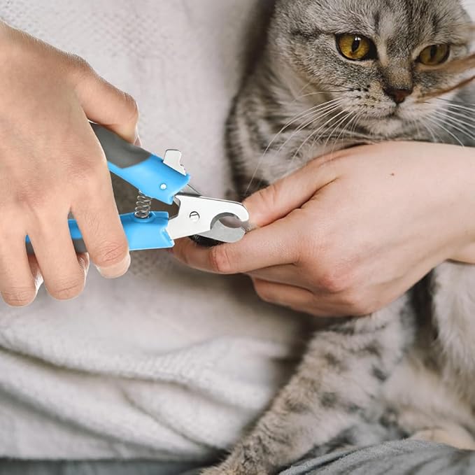 WePet Pet Nail Clippers U07.3, Professional Claw Trimmer, Scissor for Cats, Dogs, Puppies, Kittens, Hamsters, Rabbits and Small Animals, Sharp, Safe, M, Grey/Blue