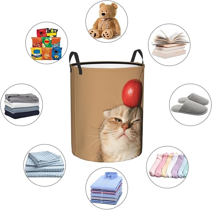 Funny Pet Cat And Fresh Apples Art Laundry Hamper 15.7×19.6 Inches | Clothes Basket With Handles, Versatile Storage Organizer For Home Decor, Laundry Room, Dorm, Bathroom, Living Room, Gifts