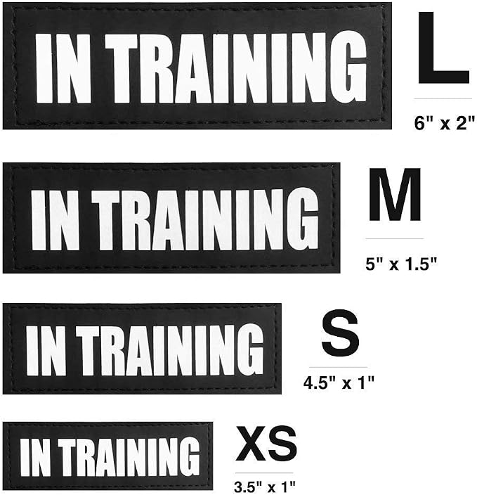 Fairwin in Training Patches, Reflective and Removable Dog Tags for Service Vest Dog Harness