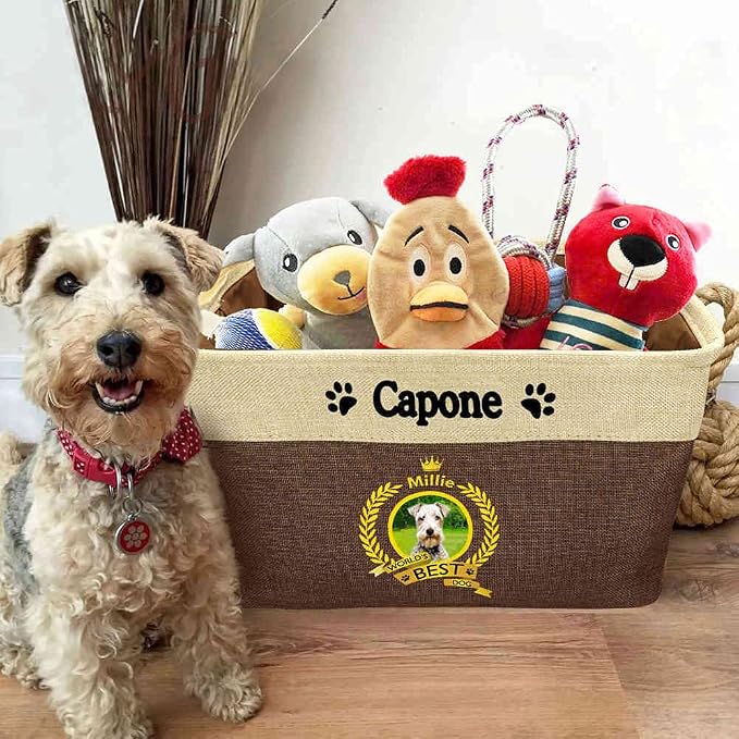 Custom Name Collapsible Dog Toy Storage Basket Bin World's Best Dog Reddish Havanese Puppy Dog Foldable Pet Toy Box Closet Shelf Baskets Organizer for Bedroom Home Dog Cat with Handles Brown