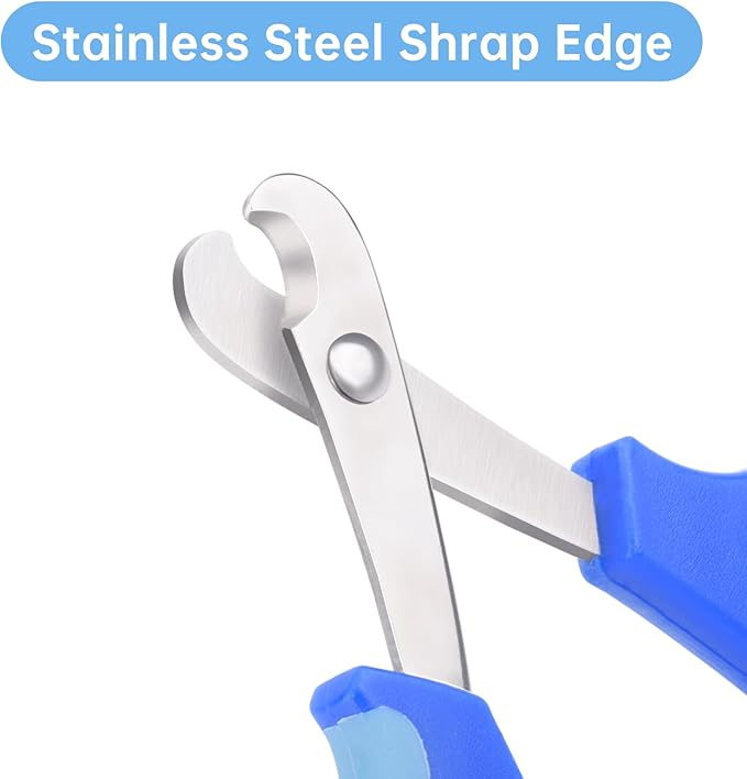 KEUYE Bearded Dragon Nail Clippers,Stainless Steel Bearded Dragon Toe Nail Clippers with Precise Angled Edges (Blue)