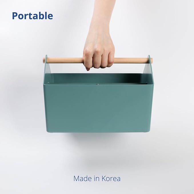 BLUE GINKGO Storage Basket, Medium 4.5L, Green, Made in Korea | Portable. Divided Storage Bin. Everyday Organization.