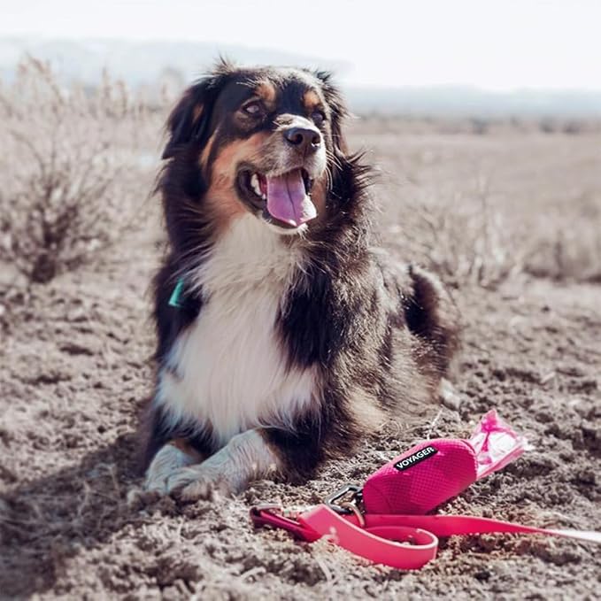 Best Pet Supplies Dog Poop Bag Holder Leash Attachment with Reusable Dispenser for Travel, Walking, Park, and Outdoor Use, Durable with Clip-On - Fuchsia, Mesh Dispenser w/15 Bags