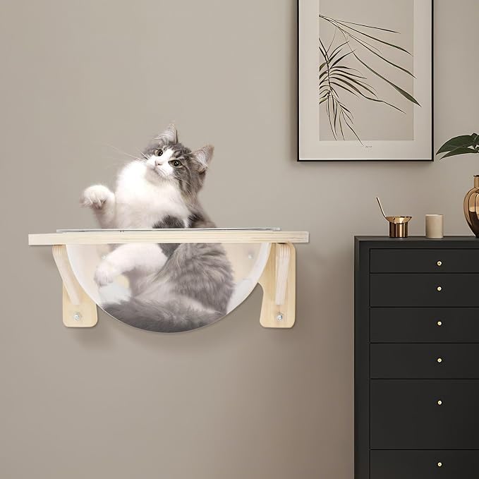 Wall-Mounted Clear Cat Bed Space Capsule - Modern Wooden Cat Wall Shelves for Indoor Cats with Strong Suction Cups, Holds Up to 16.5 lbs
