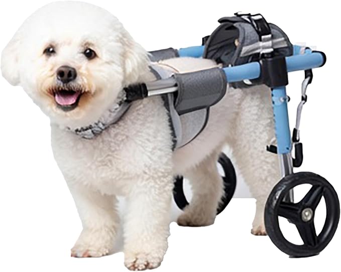 Pet Wheelchair Doggy/cat Wheelchairs with Disabled Hind Legs Walking All Terrain Wheels Indoor Rehabilitation for Disabled Pets, Easy to Assemble, Supports Walking and Exercise