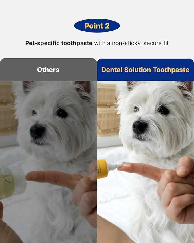 PETHROOM Pet Dental Solution Toothpaste for Dogs & Cats – Sweet Potato Flavor, Enzymatic Toothpaste for Fresh Breath & Plaque Control, Gentle Daily Dental Care, Net Wt 2.1 oz
