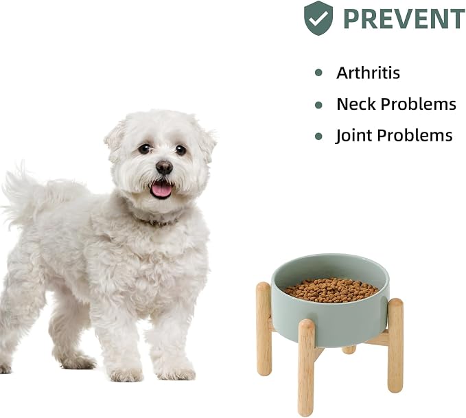Havniva Ceramic Dog Bowls Elevated, Raised Dog Food Bowl for Small Dogs | 6.1” Elevated Dog Bowls, Non-Slip Wood Stand, Dog Food and Water Bowl Set, Dog Feeding Dish, Large Capacity Pet Water Bowl