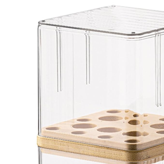 Makeup Pad Storage Case Makeup Brush Organizer Storage Container Cosmetic Remover Pad Organizer Table Top Portable Storage Container PET, for Brushes