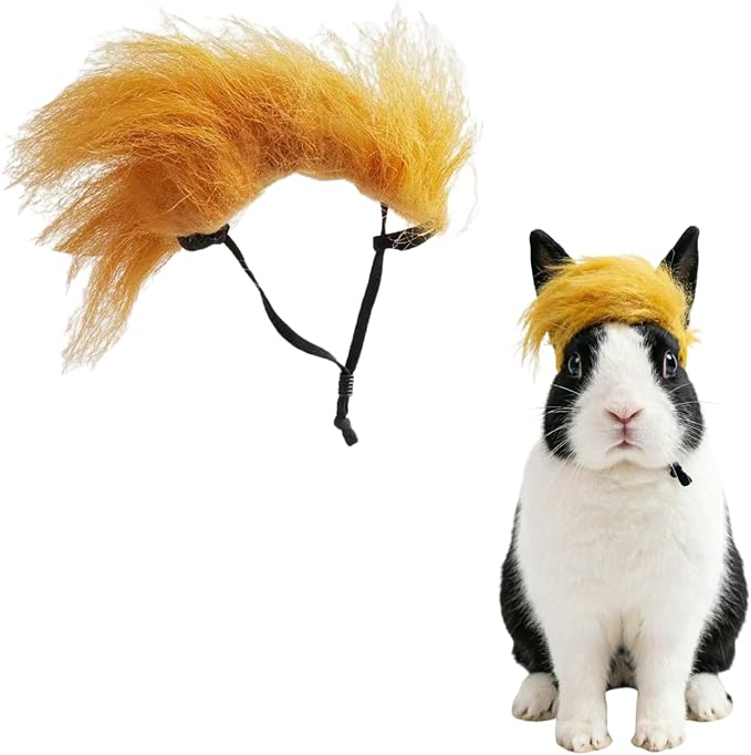 Funny Yellow Pet Wig Headband, Adjustable Elastic Long Pile Costume Accessory, Party Photo Prop for Cat Dog Rabbit (S)